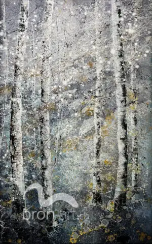 Birken im Winter
